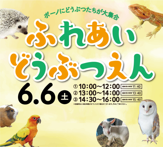 6/6(土) ふれあいどうぶつえん