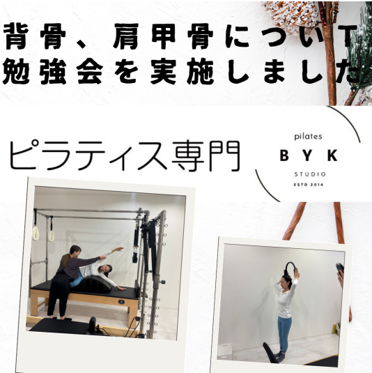 背骨と肩甲骨の勉強会を実施しました【勉強会レポート】